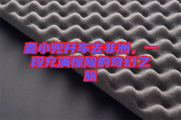 麥小兜開(kāi)車(chē)去非洲，一段充滿驚險(xiǎn)的奇幻之旅