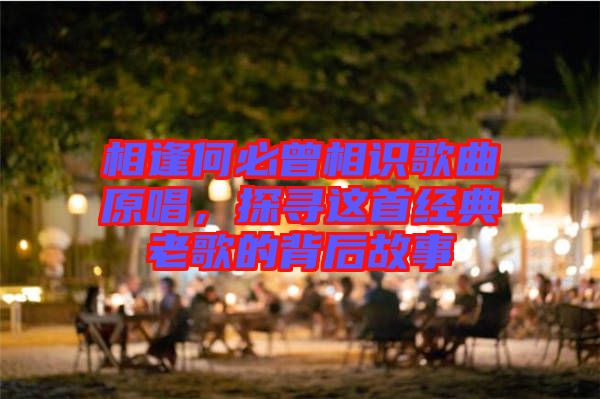相逢何必曾相識歌曲原唱，探尋這首經(jīng)典老歌的背后故事