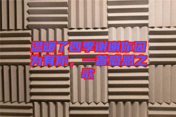 溫暖了四季謝謝你因?yàn)橛心?，一首感恩之? width=
