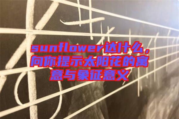 sunflower達(dá)什么，向你提示太陽花的寓意與象征意義