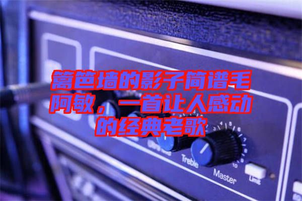 籬笆墻的影子簡譜毛阿敏，一首讓人感動(dòng)的經(jīng)典老歌
