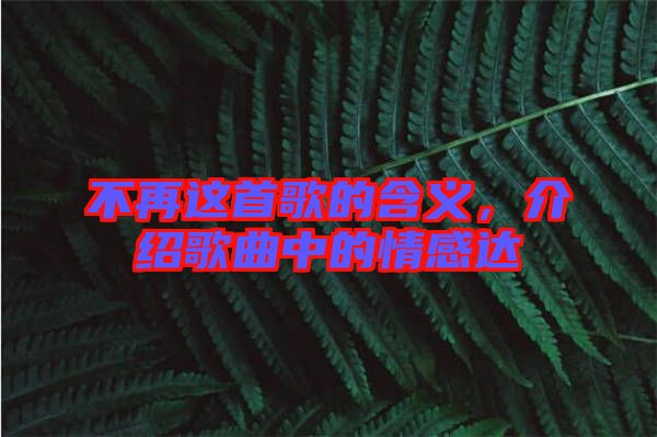 不再這首歌的含義，介紹歌曲中的情感達(dá)