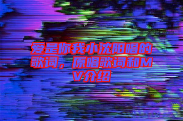 愛是你我小沈陽(yáng)唱的歌詞，原唱歌詞和MV介紹