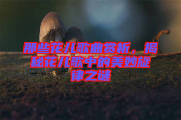 那些花兒歌曲賞析，揭秘花兒歌中的美妙旋律之謎