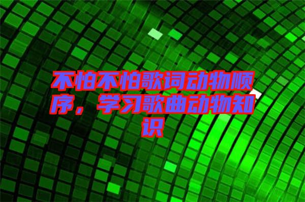 不怕不怕歌詞動(dòng)物順序，學(xué)習(xí)歌曲動(dòng)物知識