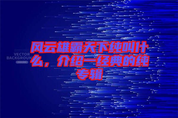 風(fēng)云雄霸天下純叫什么，介紹一經(jīng)典的純專輯