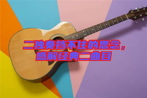二獨(dú)奏擋不住的思念，感解經(jīng)典二曲目