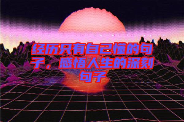 經歷只有自己懂的句子，感悟人生的深刻句子