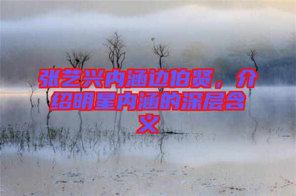 張藝興內(nèi)涵邊伯賢，介紹明星內(nèi)涵的深層含義