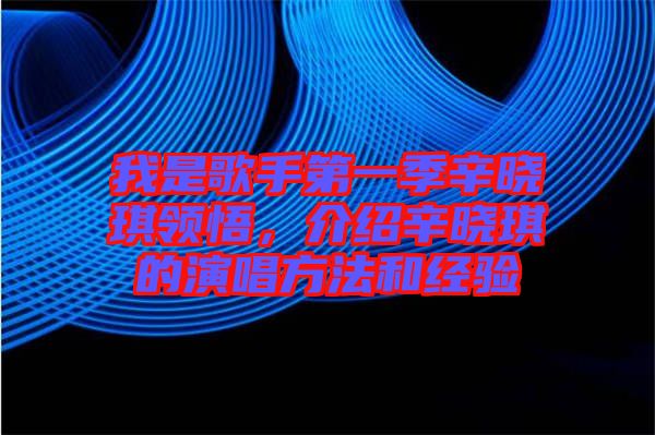 我是歌手第一季辛曉琪領(lǐng)悟，介紹辛曉琪的演唱方法和經(jīng)驗