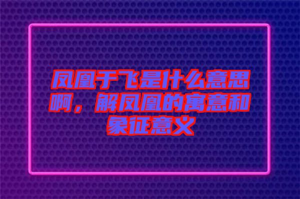 鳳凰于飛是什么意思啊，解鳳凰的寓意和象征意義