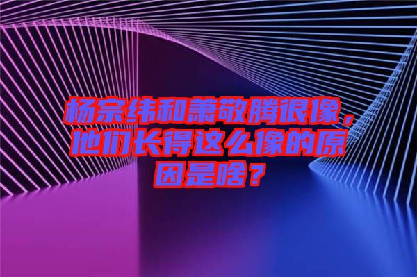 楊宗緯和蕭敬騰很像，他們長得這么像的原因是啥？