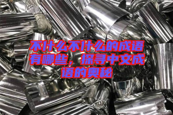不什么不什么的成語(yǔ)有哪些，探尋中文成語(yǔ)的奧秘