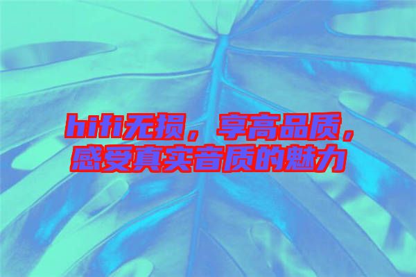 hifi無損，享高品質，感受真實音質的魅力