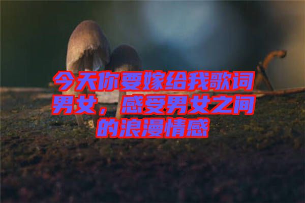今天你要嫁給我歌詞男女，感受男女之間的浪漫情感