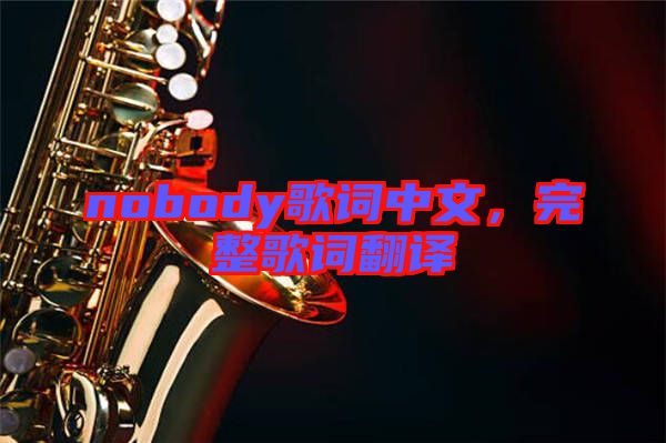 nobody歌詞中文，完整歌詞翻譯