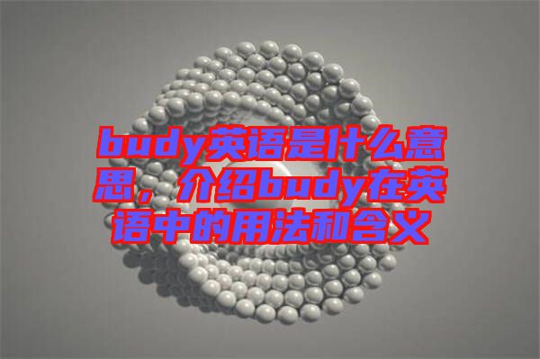 budy英語是什么意思，介紹budy在英語中的用法和含義