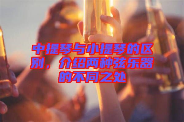 中提琴與小提琴的區(qū)別，介紹兩種弦樂器的不同之處