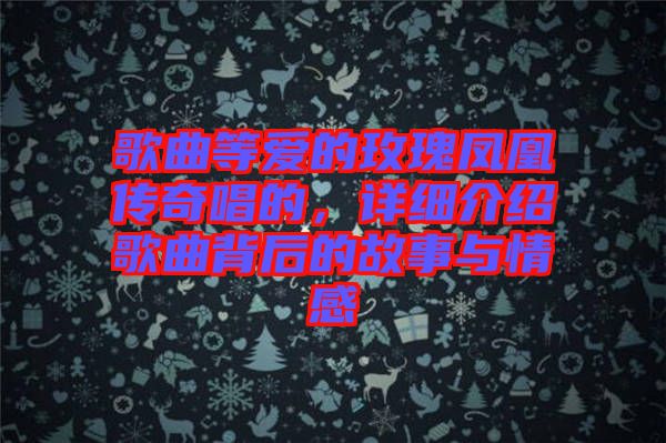 歌曲等愛的玫瑰鳳凰傳奇唱的，詳細介紹歌曲背后的故事與情感
