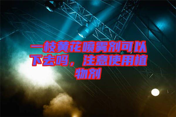 一枝黃花噴霧劑可以下去嗎，注意使用植物劑