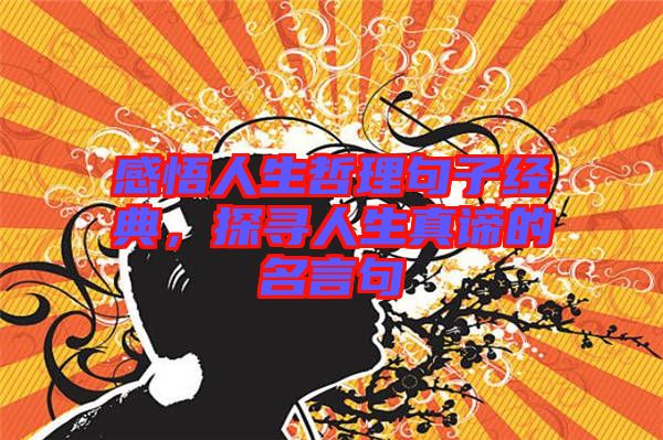 感悟人生哲理句子經(jīng)典，探尋人生真諦的名言句