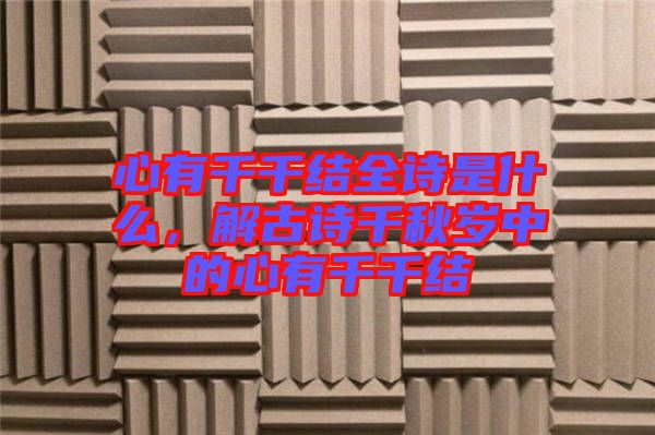 心有千千結(jié)全詩是什么，解古詩千秋歲中的心有千千結(jié)