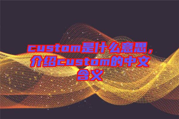 custom是什么意思，介紹custom的中文含義