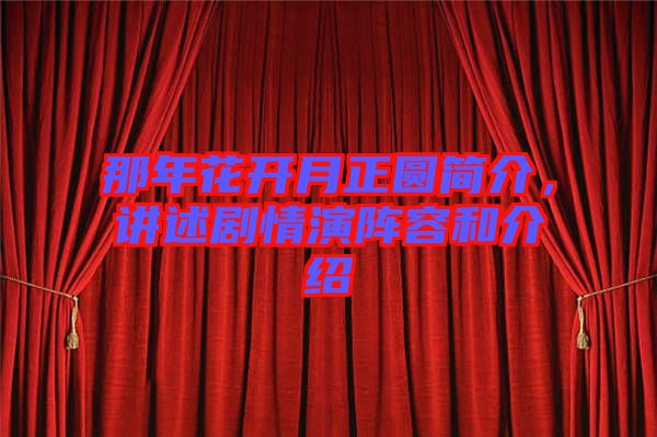 那年花開月正圓簡(jiǎn)介，講述劇情演陣容和介紹