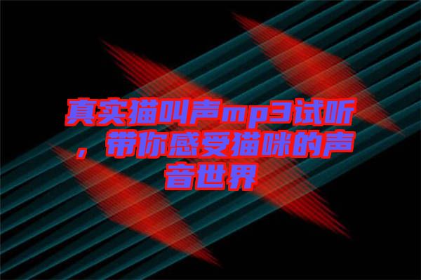 真實貓叫聲mp3試聽，帶你感受貓咪的聲音世界