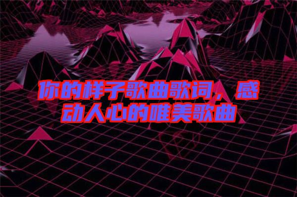你的樣子歌曲歌詞，感動(dòng)人心的唯美歌曲