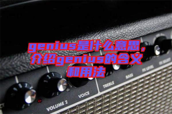 genius是什么意思，介紹genius的含義和用法