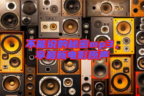 不能說的秘密mp3，享最新電影原聲
