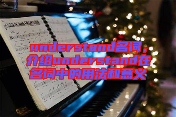 understand名詞，介紹understand在名詞中的用法和意義