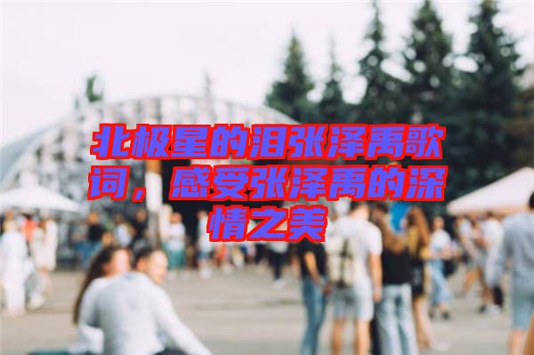 北極星的淚張澤禹歌詞，感受張澤禹的深情之美