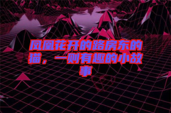 鳳凰花開的路房東的貓，一則有趣的小故事