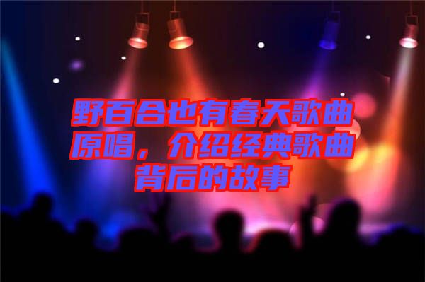 野百合也有春天歌曲原唱，介紹經(jīng)典歌曲背后的故事