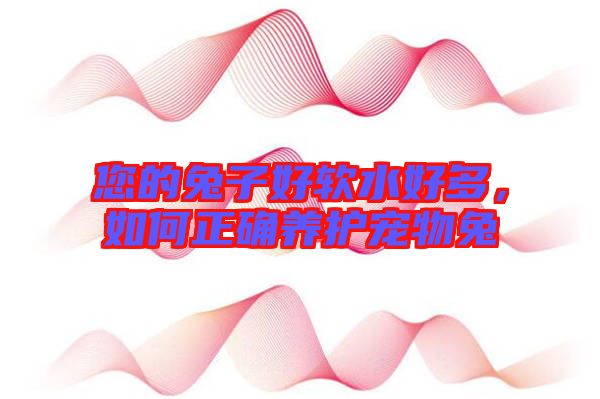 您的兔子好軟水好多，如何正確養(yǎng)護(hù)寵物兔