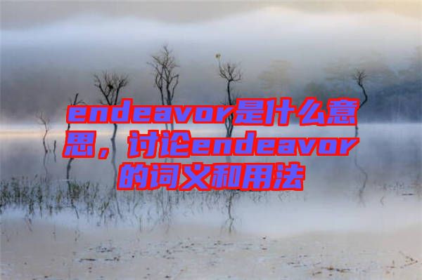 endeavor是什么意思，討論endeavor的詞義和用法