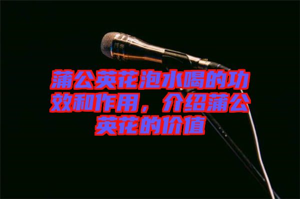 蒲公英花泡水喝的功效和作用，介紹蒲公英花的價值
