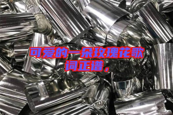 可愛(ài)的一朵玫瑰花歌詞正譜，
