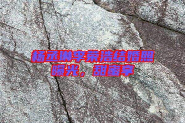 楊丞琳李榮浩結(jié)婚照曝光，甜蜜享