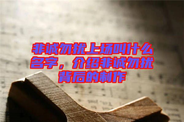 非誠(chéng)勿擾上場(chǎng)叫什么名字，介紹非誠(chéng)勿擾背后的制作