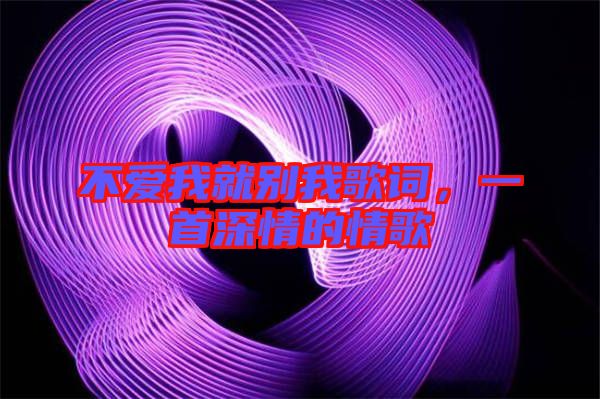 不愛我就別我歌詞，一首深情的情歌