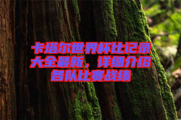 卡塔爾世界杯比記錄大全最新，詳細(xì)介紹各隊比賽戰(zhàn)績
