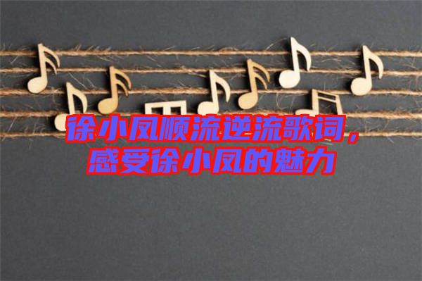 徐小鳳順流逆流歌詞，感受徐小鳳的魅力