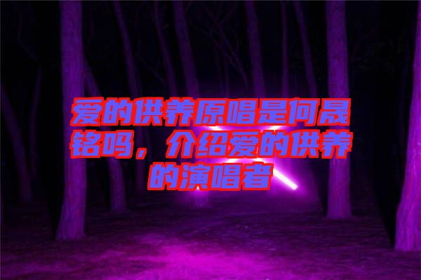 愛的供養(yǎng)原唱是何晟銘嗎，介紹愛的供養(yǎng)的演唱者