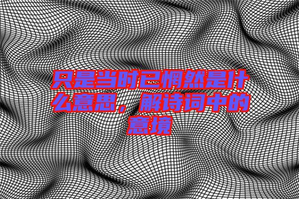 只是當(dāng)時已惘然是什么意思，解詩詞中的意境
