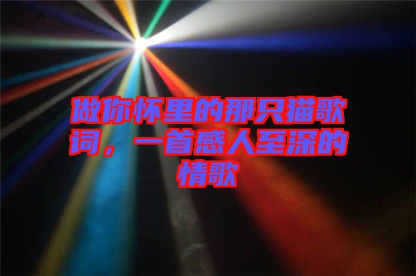 做你懷里的那只貓歌詞，一首感人至深的情歌