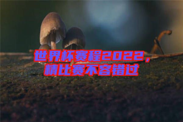 世界杯賽程2022，精比賽不容錯(cuò)過