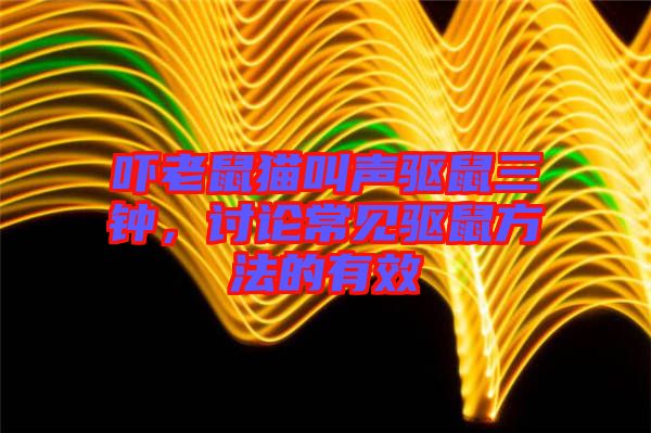嚇老鼠貓叫聲驅鼠三鐘，討論常見驅鼠方法的有效
